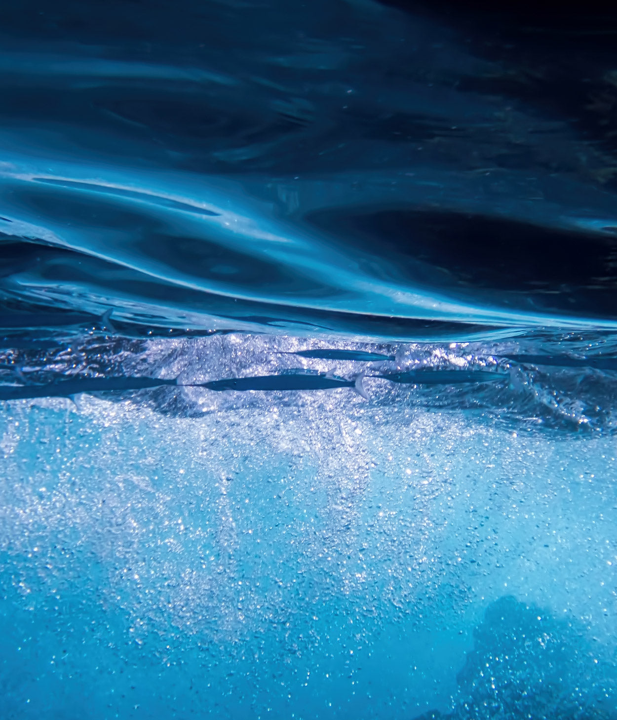 ICD Dermatology Cream