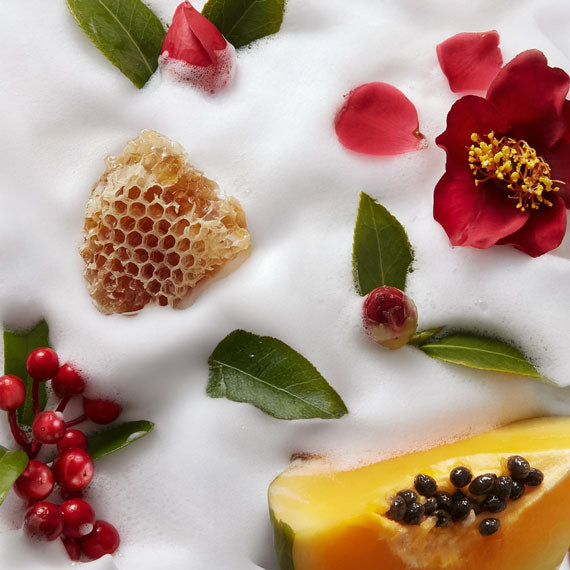 Snow Enzyme Cleanser EX